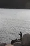 carousel chooser