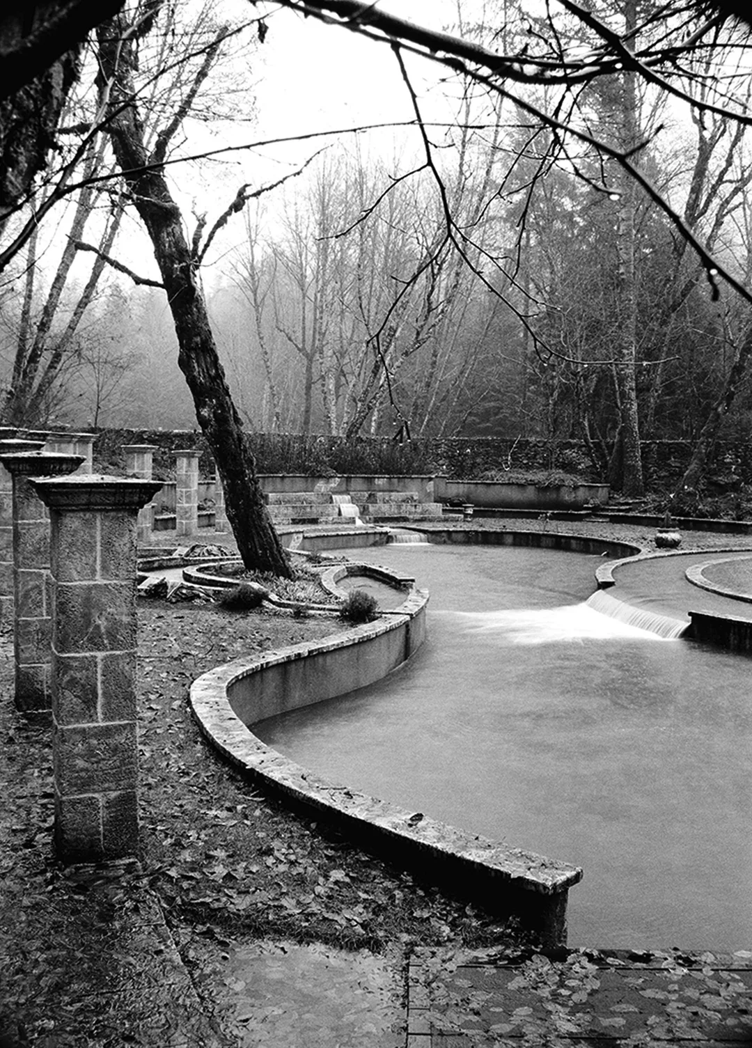 Image description