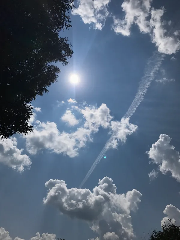 the sky with a tree, clouds, the sun, and a jet trail