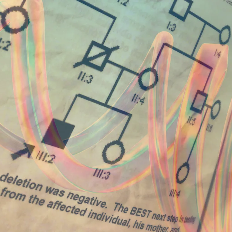 image of iridescent DNA helix coil overlaid over a family history pedigree showing an affected male individual.