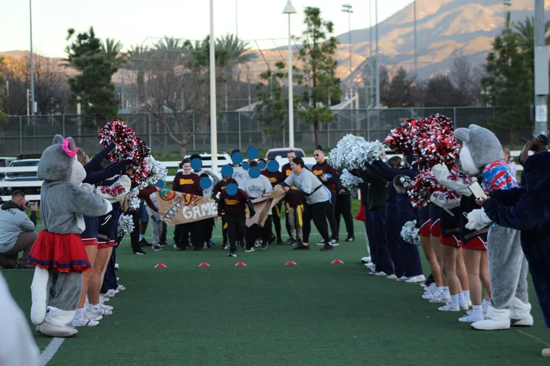 Image description
