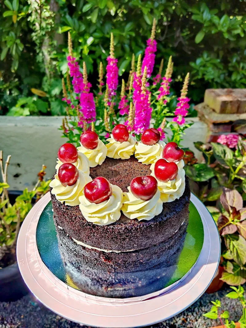 Chocolate Cake with Cheeries