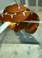 carousel chooser