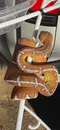 carousel chooser