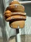 carousel chooser