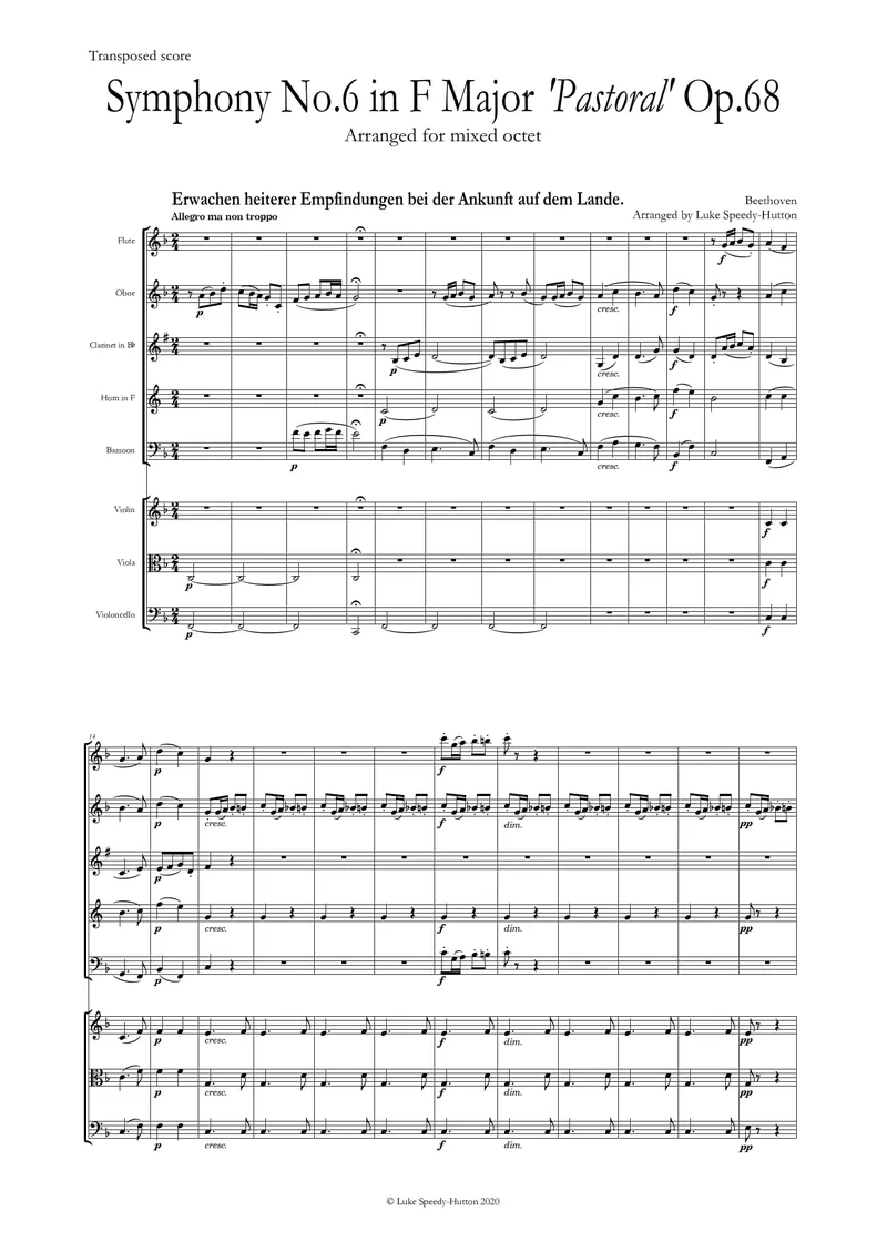 Beethoven - Symphony 6 Mov 1 (reduction for 8 musicians)