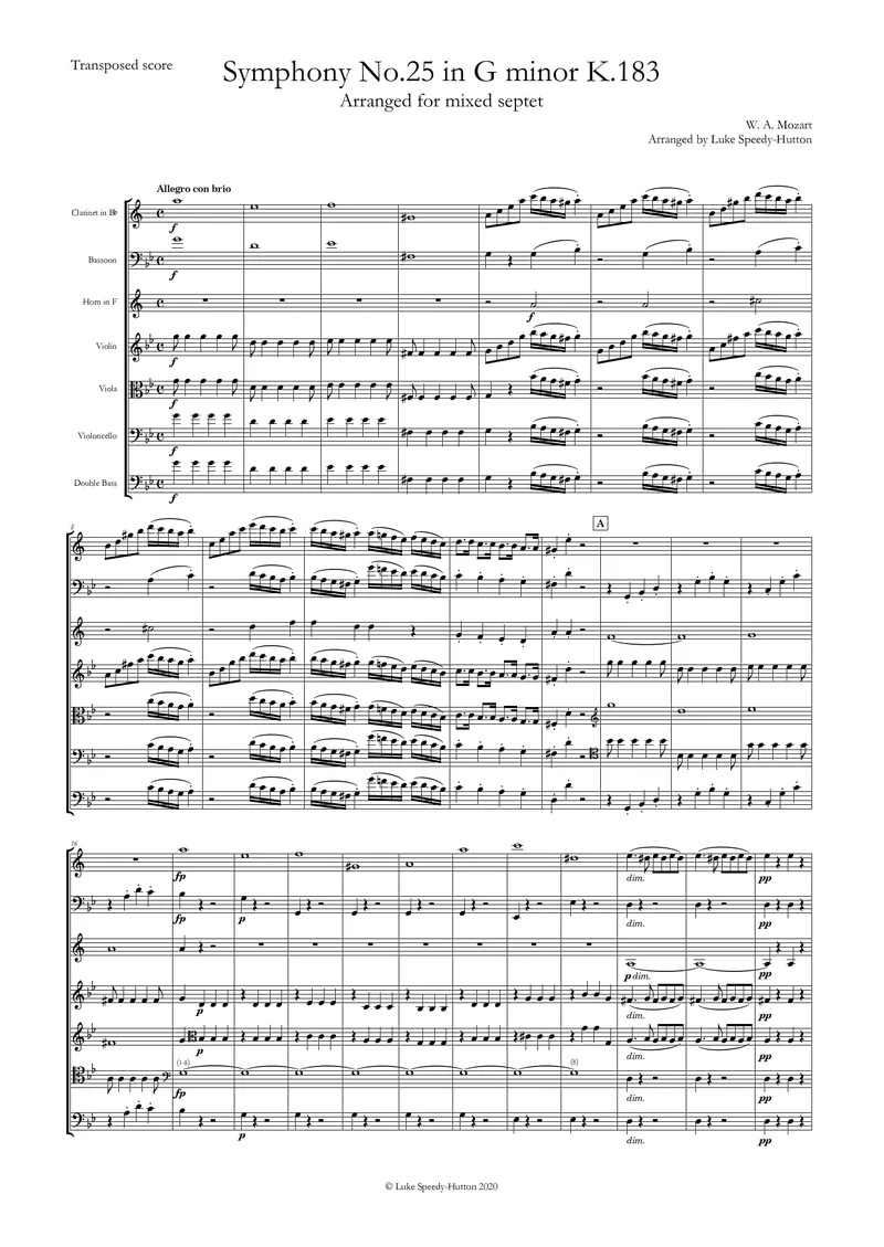 Mozart - Symphony No 25 Mov I (reduction for septet)