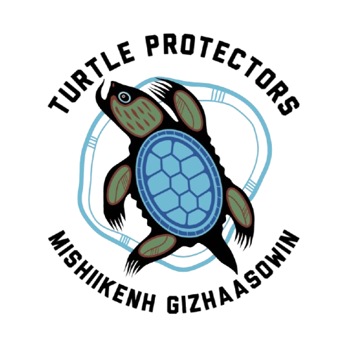 Turtle Protectors