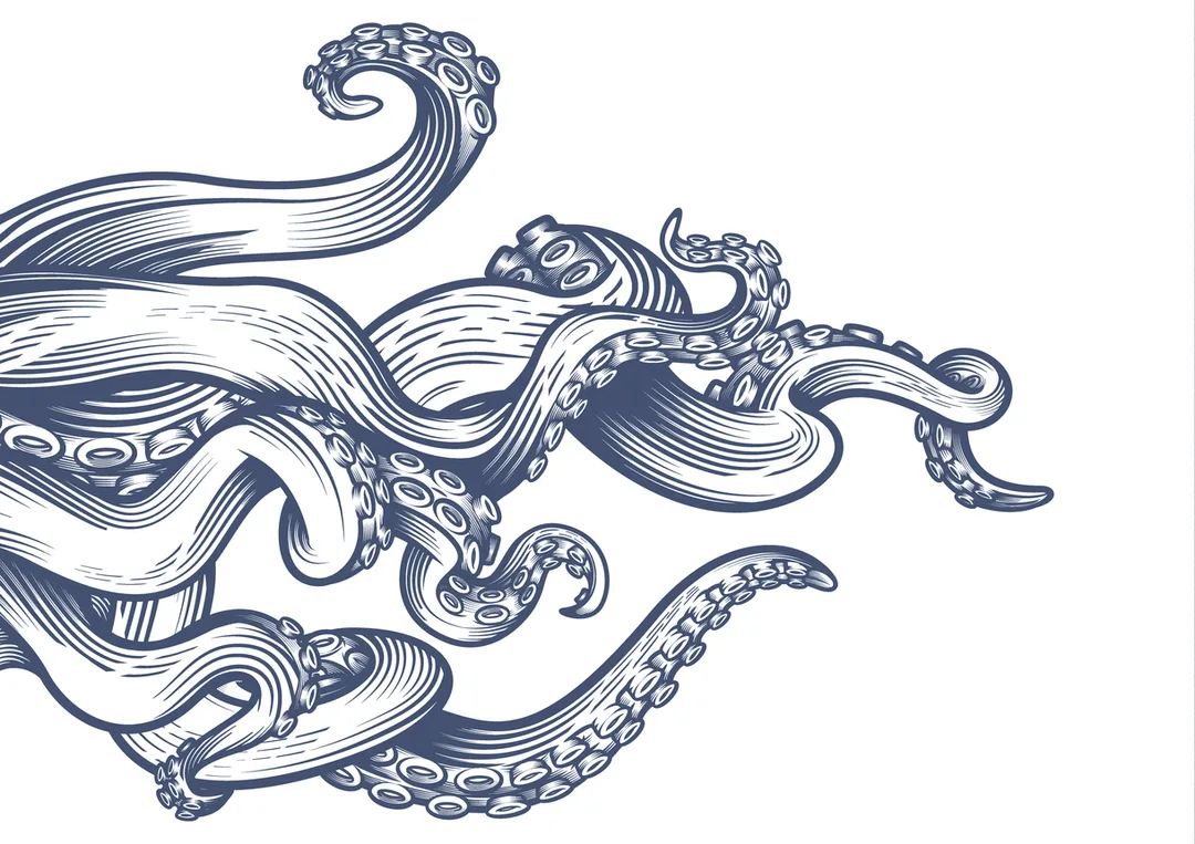 Octopus Tentacles