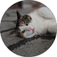 Robert Carter
Local Guide • 297 reviews • 
