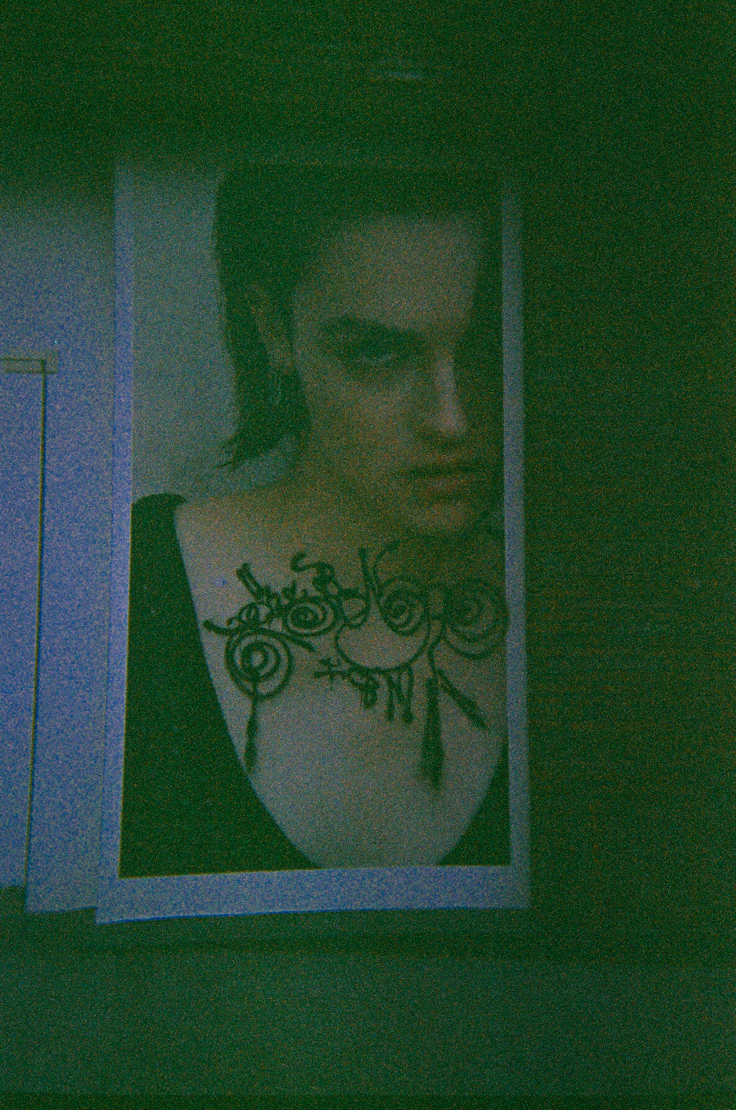 Image description