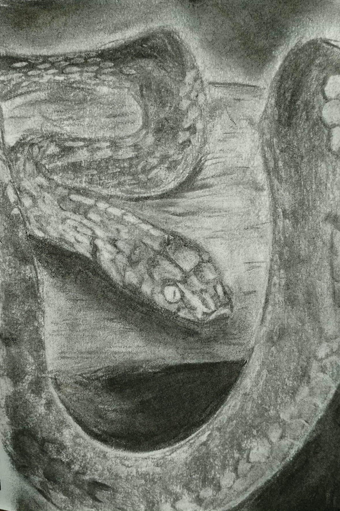 Art Commissions - Closed