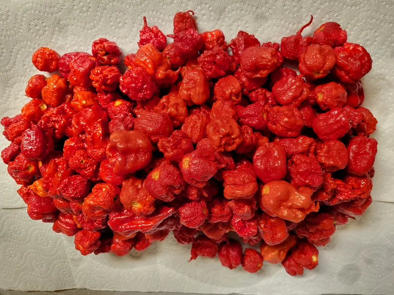 Carolina reaper peppers.
