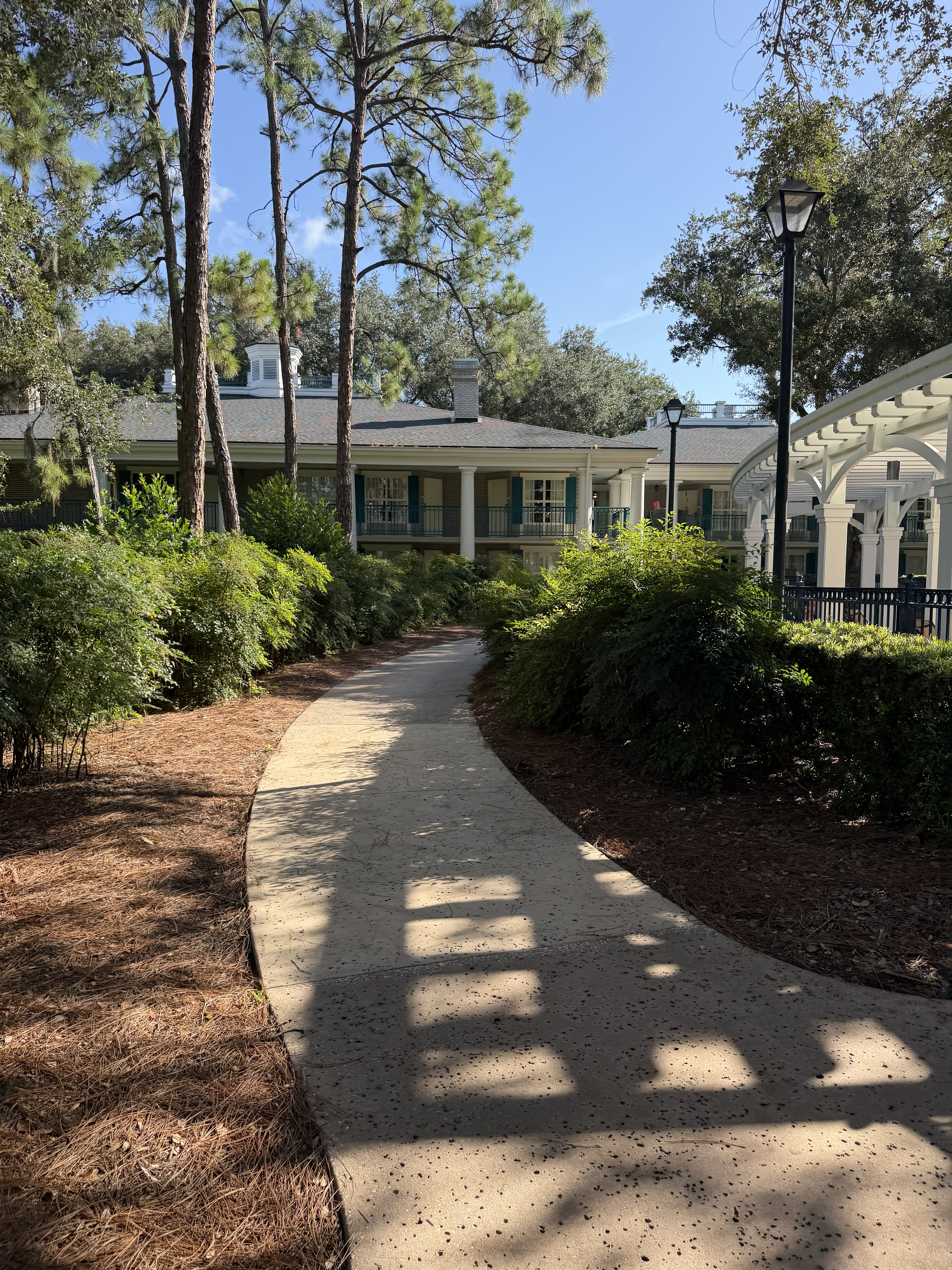 Three Things to Know About the Buses at Port Orleans