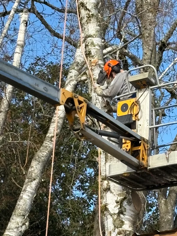 manlift work at height