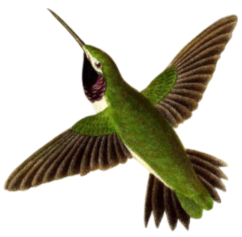 Image description