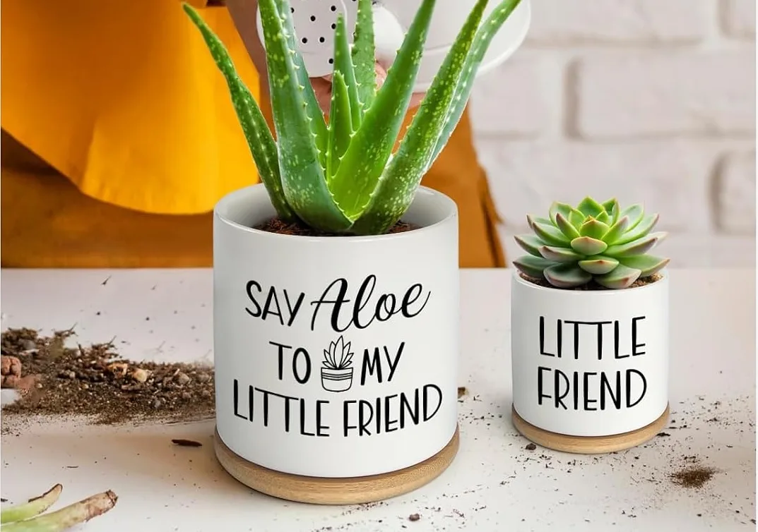 Set of two planters: one says 