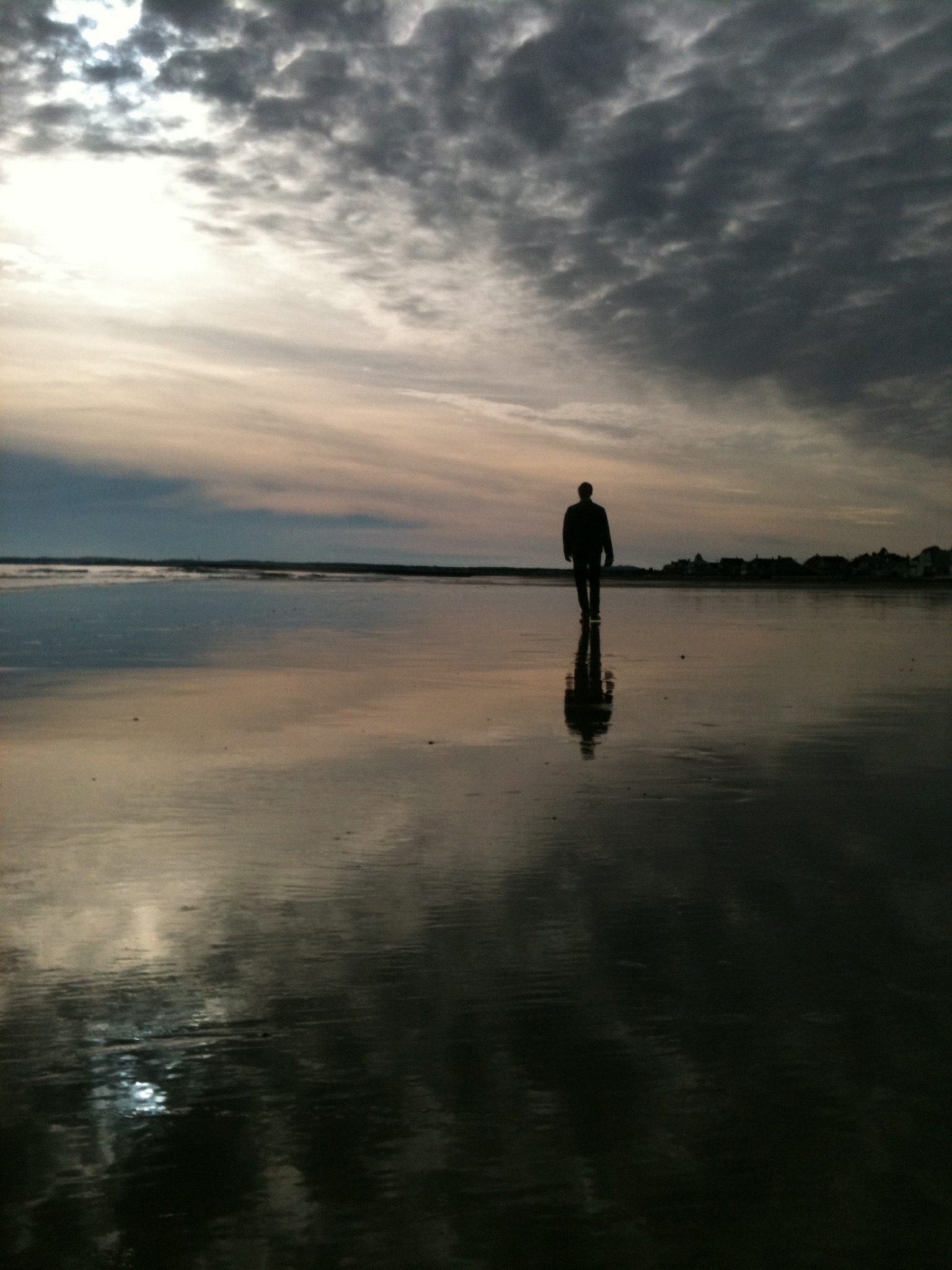 Lucky B. walking on the beach at sunset.