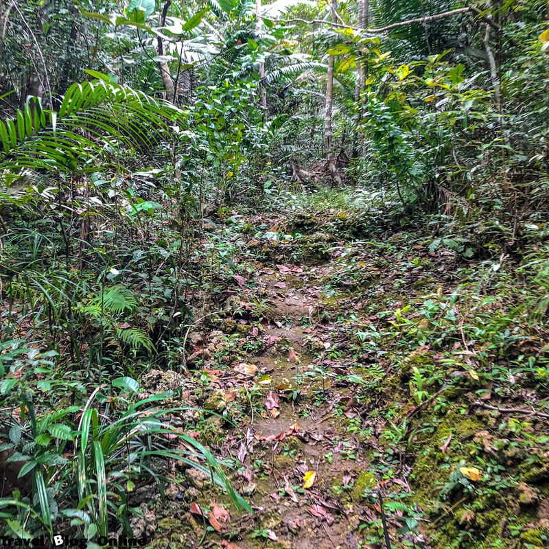 Corella, Bohol, Hiking, Philippines, © travelblogonline.com