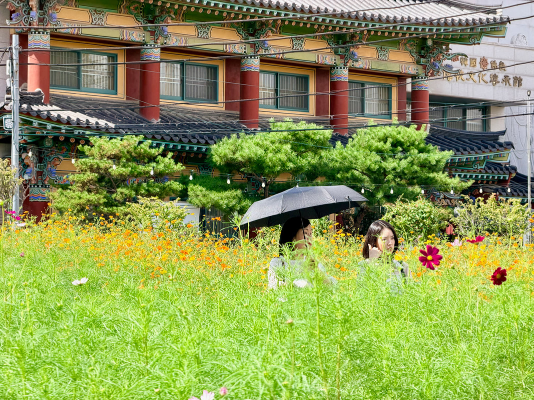 © Patrik Lord Surroundings near the National Museum of Modern and Contemporary Art (MMCA) in Seoul