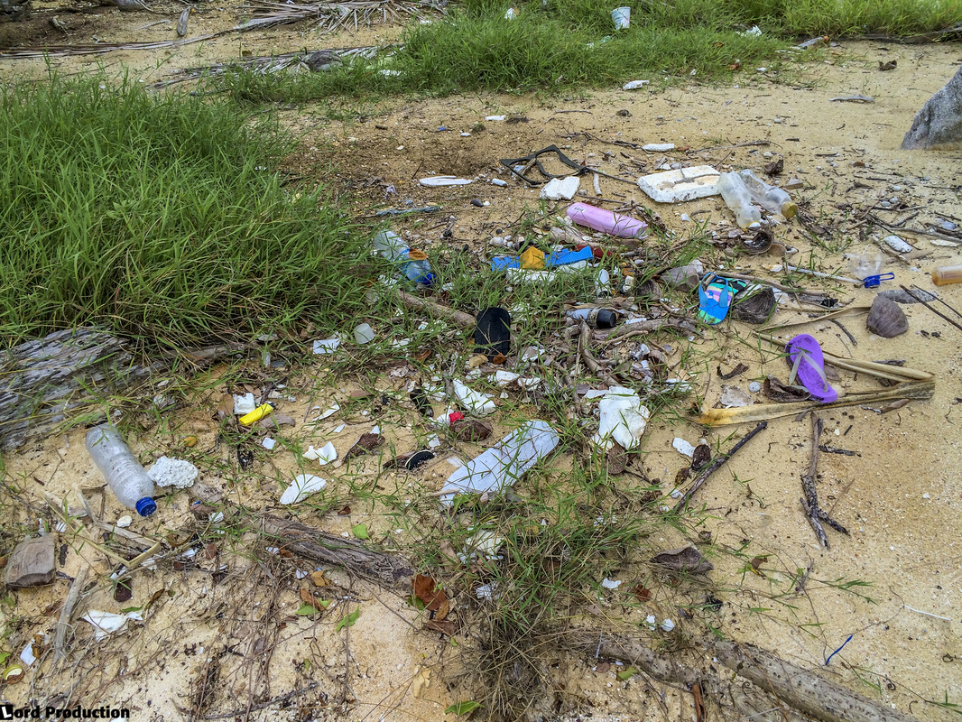Karimunjawa Indonesia Trash on the beach © LordProduction