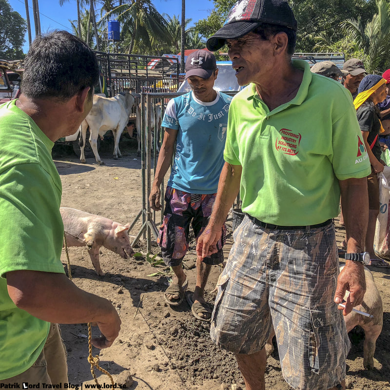 Livestock, Malatapay market, Apo Island, Philippines © Patrik Lord Travel Blog