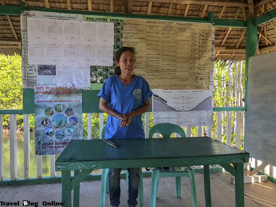 Oboob Mangrove Garden, Lecture, Bantayan Island, Philippines, © travelblogonline.com
