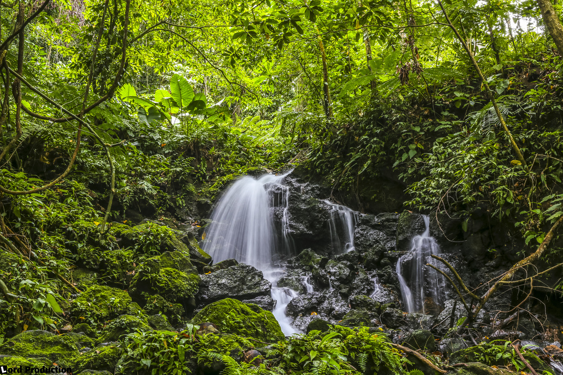 A water stream in the rainforest, here in Bicol Philippines