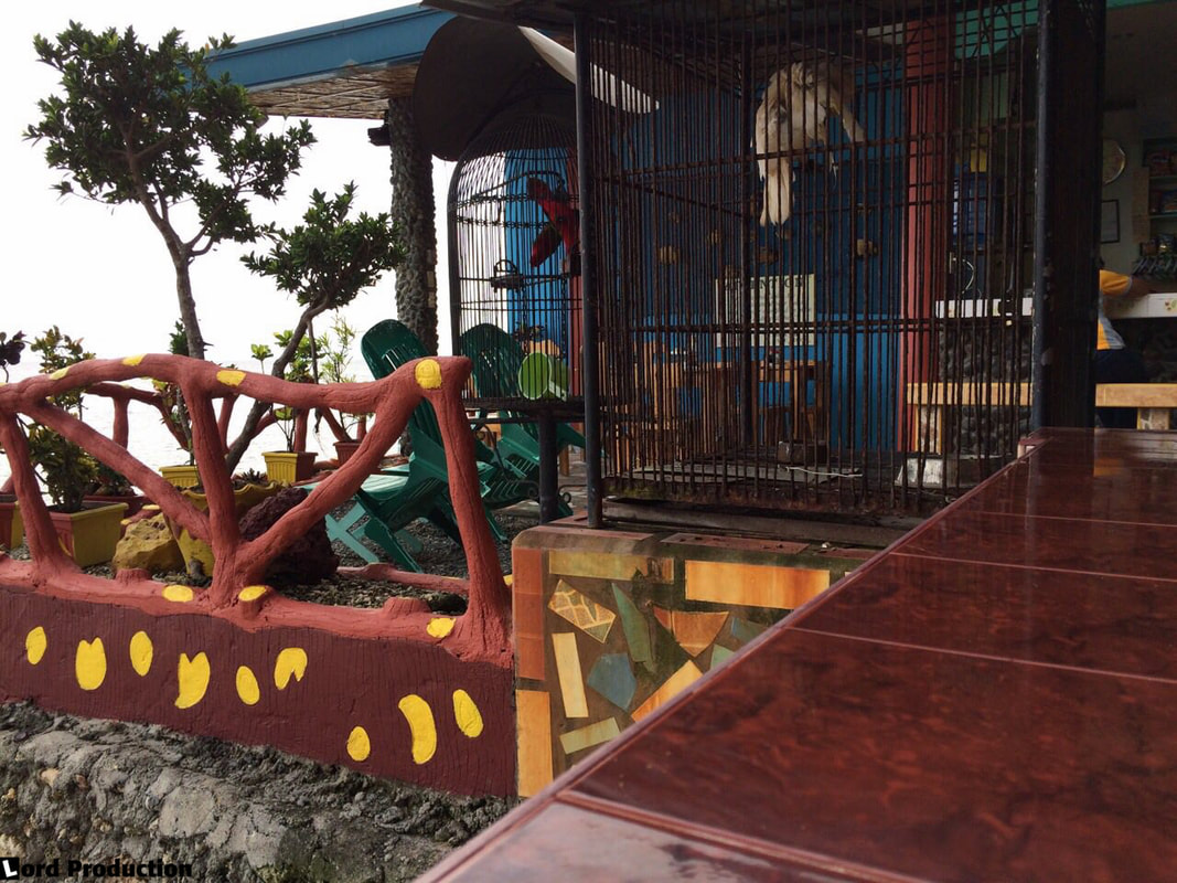 Reviews of hotels in Philippines Samal Island The Red Parrot Inn Parrots © Patrik Lord Travel Blog