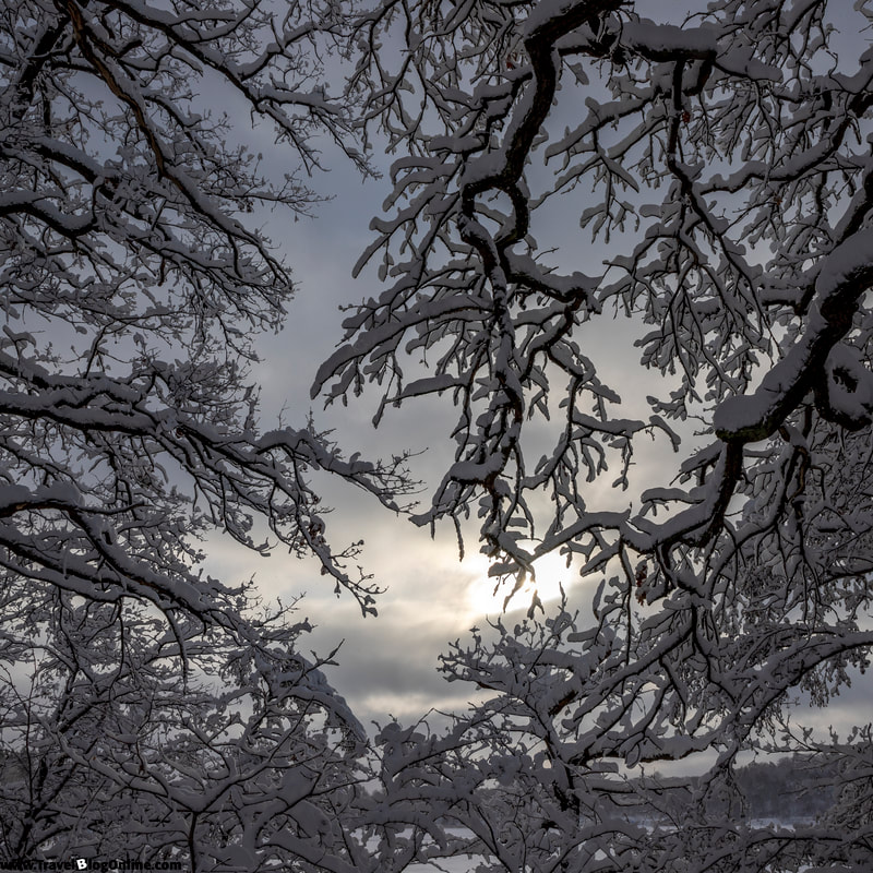 Stockholm, Sweden, Winter, Hagaparken © www.travelblogonline.com