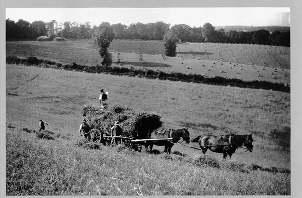 Image description