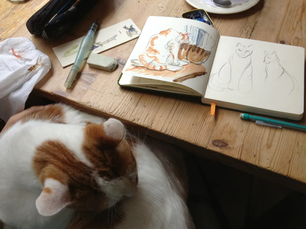 Picture