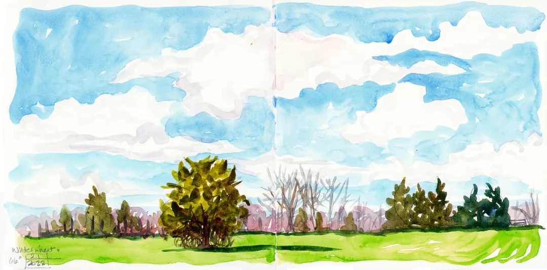 Picture