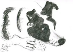 Image description