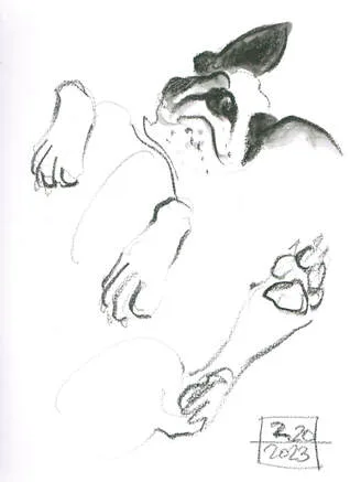 Picture