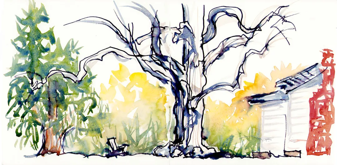 Picture
