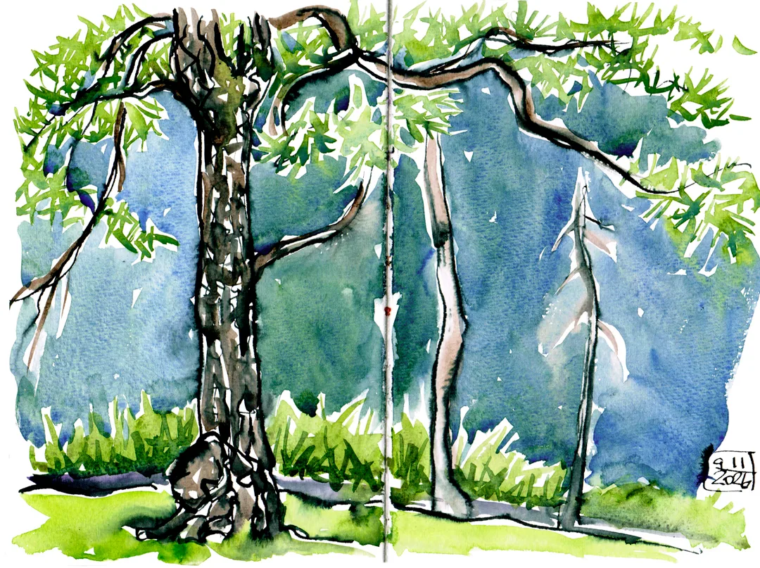 Image description