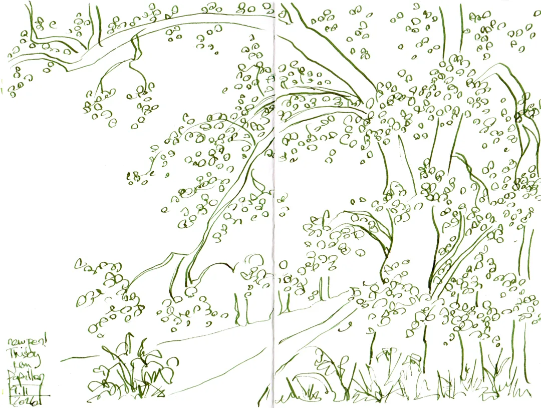 Image description