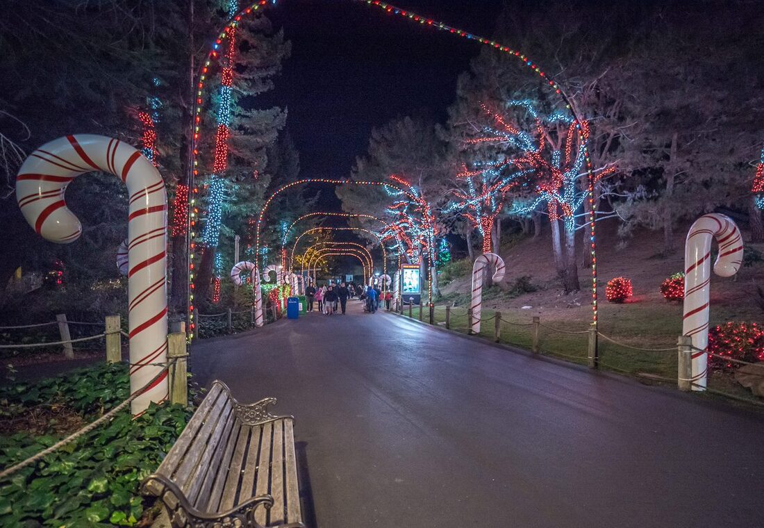 Six Flags Brings Holiday Cheer with Winter Coat Drive Amidst Chilly and Wet Northern California Weather