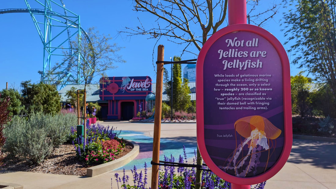 SeaWorld San Diego Launches Holiday Deals for Black Friday