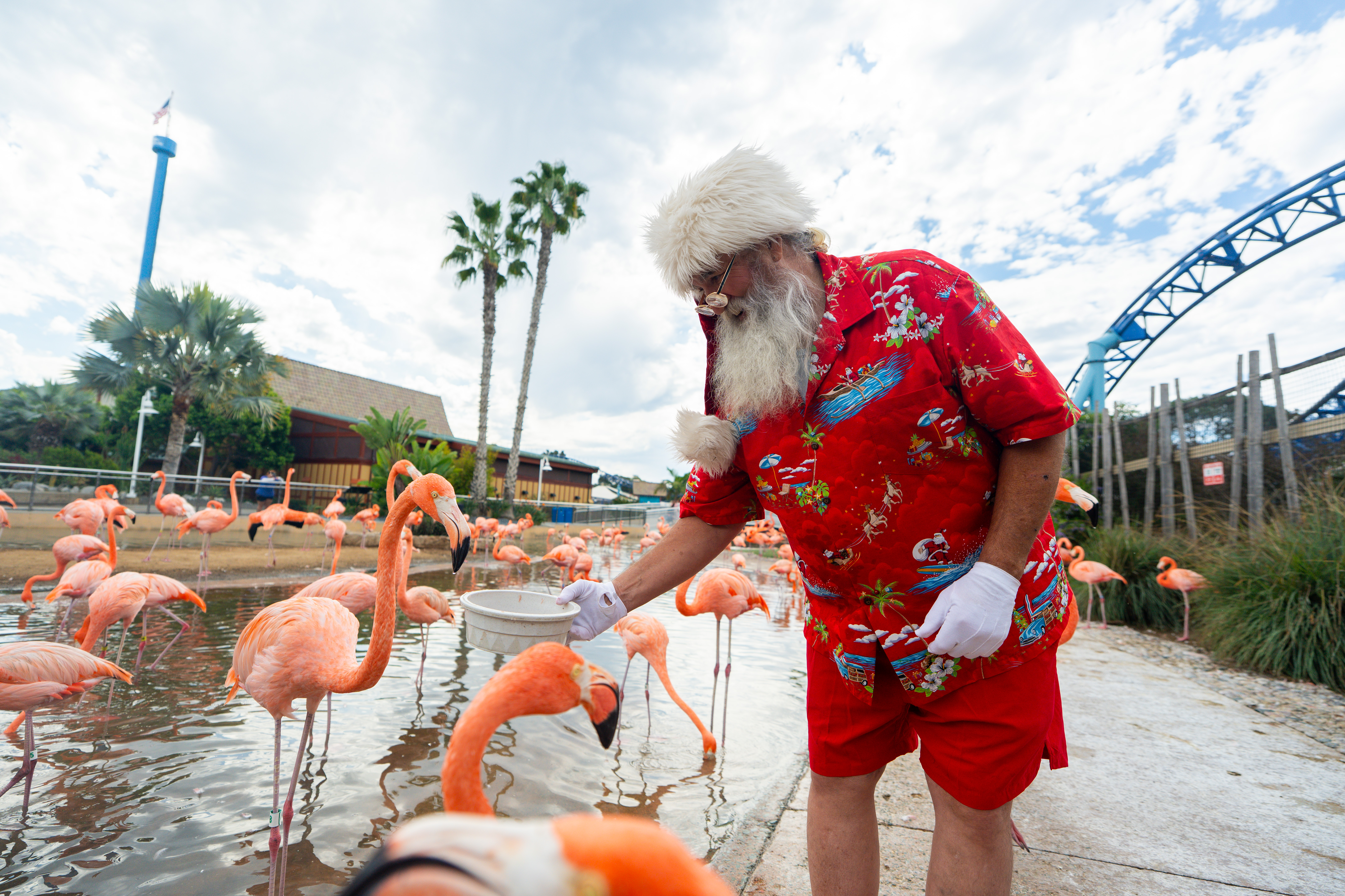 SeaWorld San Diego’s Christmas Celebration Returns With All-New Shows and Timeless Holiday Joy