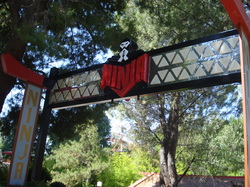 Ninja Strikes Tree and derails at Six Flags Magic Mountain