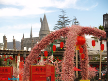 2/1/2016 - Wizarding World Hollywood Update