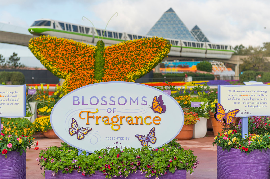 Spring Blossoms at the 2024 EPCOT International Flower & Garden Festival