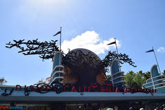 Trip Report: HalloweenTime 2017 at the Disneyland Resort