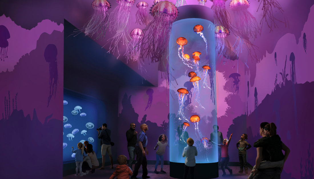 SeaWorld San Diego announces “Jewels of the Sea: The Jellyfish Experience,” an All-New Exhibit Opening in 2024