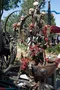 carousel chooser