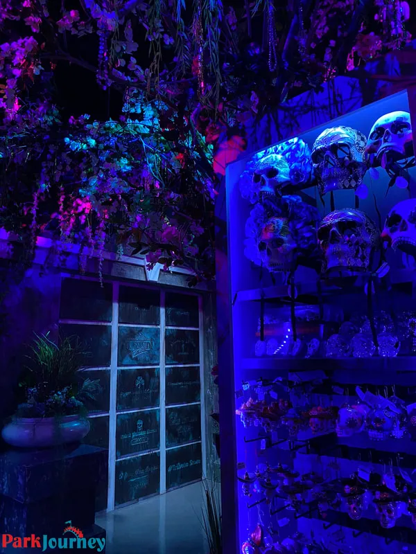 Picture