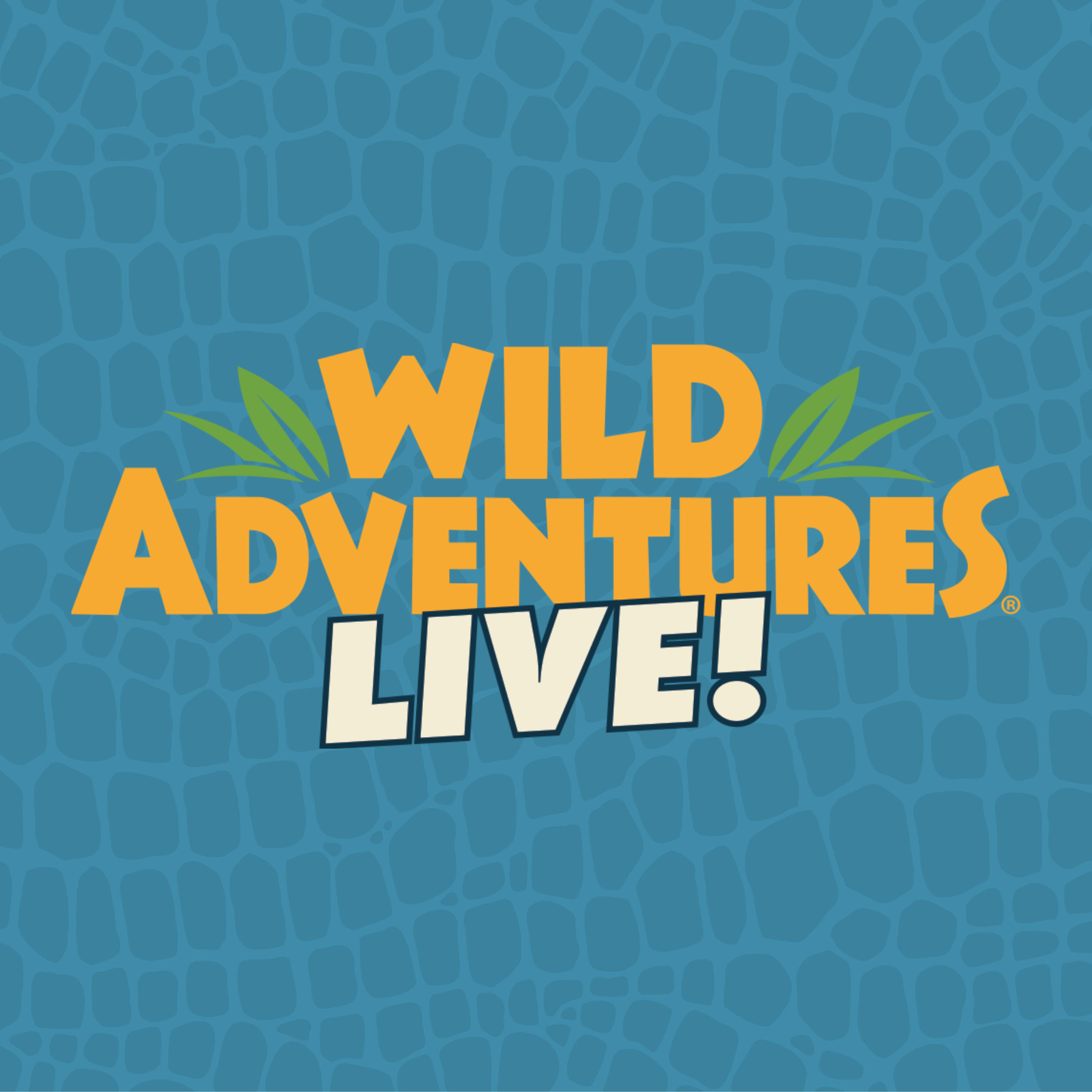 Wild Adventures Announces 2027 LIVE Concert Lineup