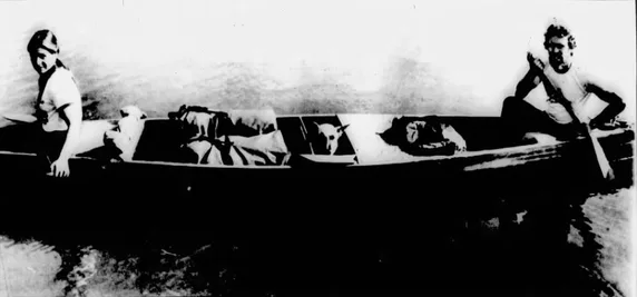 Image description